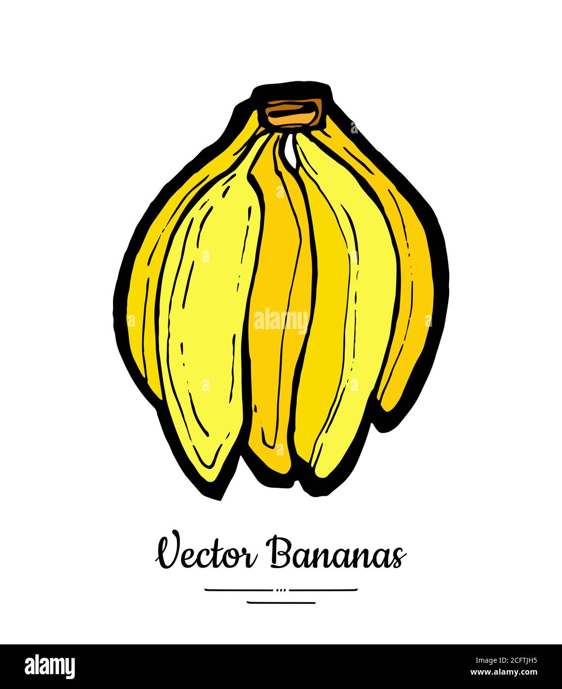 Banane vettore isolato. Banana intera grande mazzo. Raccolta di frutti dolci verdi gialli disegnati a mano. Logo alimentare vegetariano Illustrazione Vettoriale