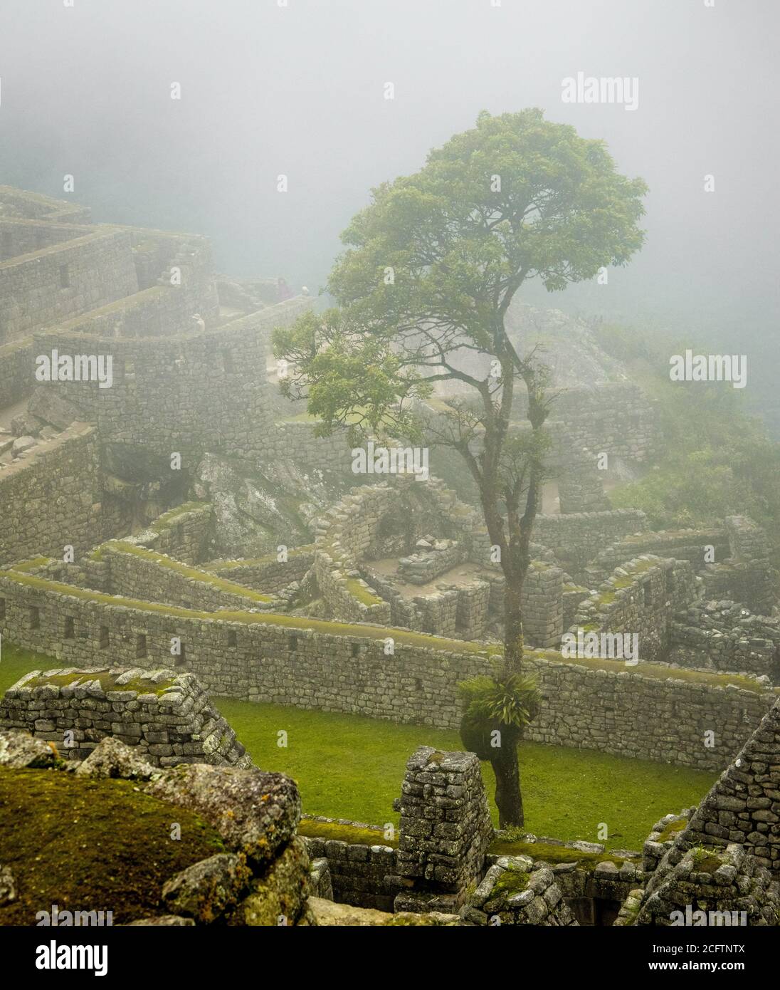 Scena nebbiosa nelle rovine di Machu Picchu Perú Foto Stock Scena nebbiosa nelle rovine di Machu Picchu Perú Foto Stock