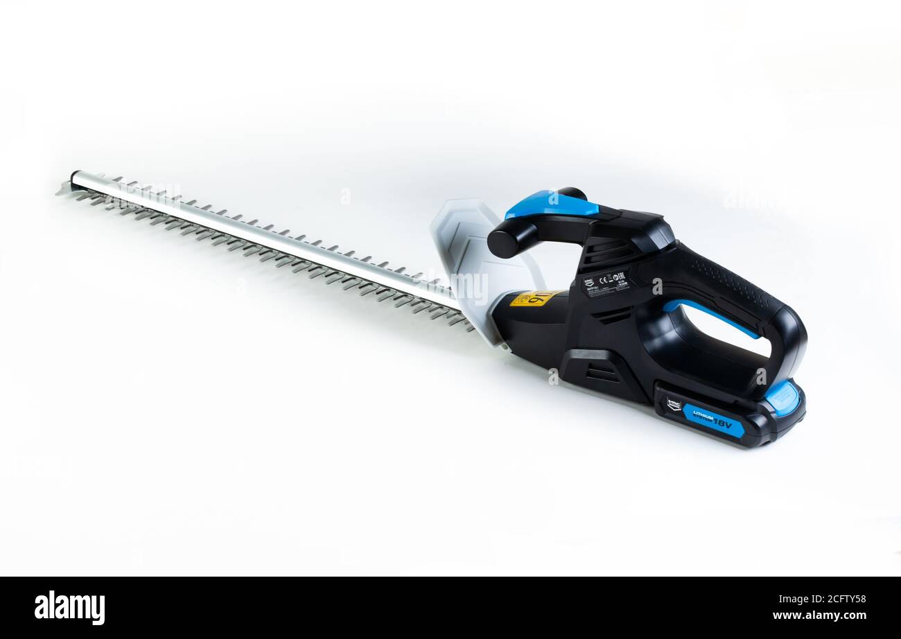 tagliasiepi cordless elettrico Foto Stock