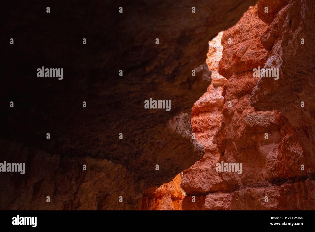 Dettaglio del colorato Red slot Canyon, Bryce Canyon National Park, Utah, USA Foto Stock