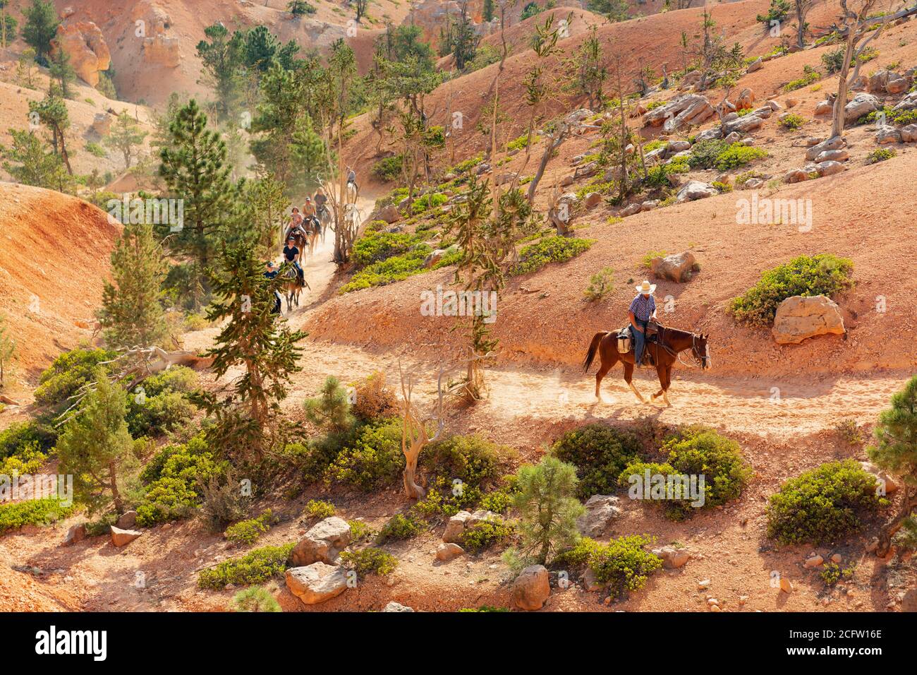 Escursione di gruppo a cavallo sul sentiero nel Bryce Canyon National Park, Utah, USA Foto Stock