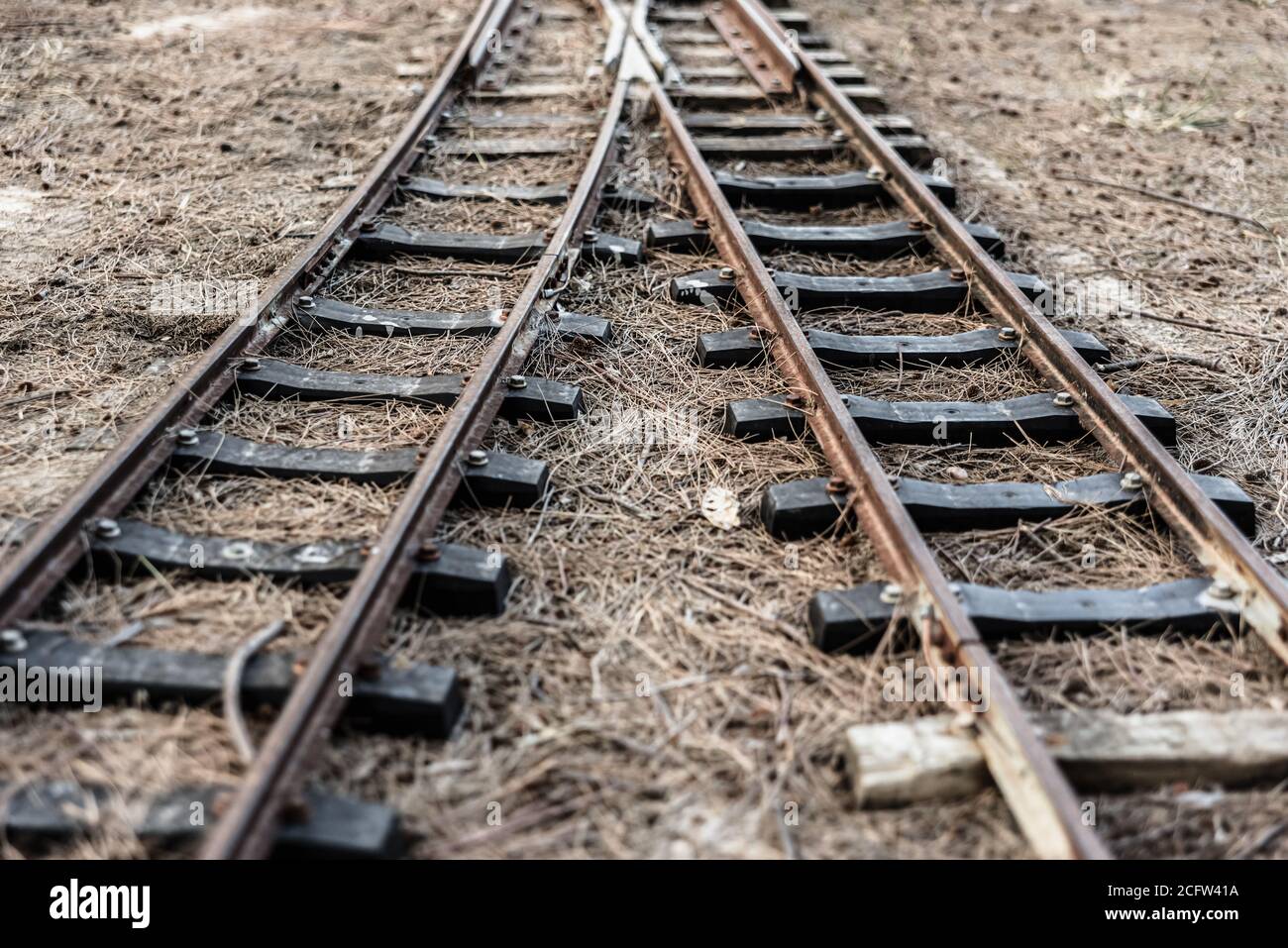 Vecchio binario ferroviario con binari che si diramano in due direzioni diverse. Foto Stock