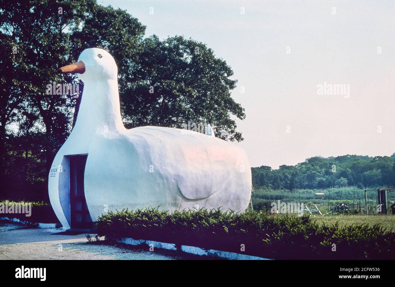 Long Island duck, Fiandre, Long Island, New York, USA, John Margolies Roadside America Fotografia Archivio, anni '70 Foto Stock