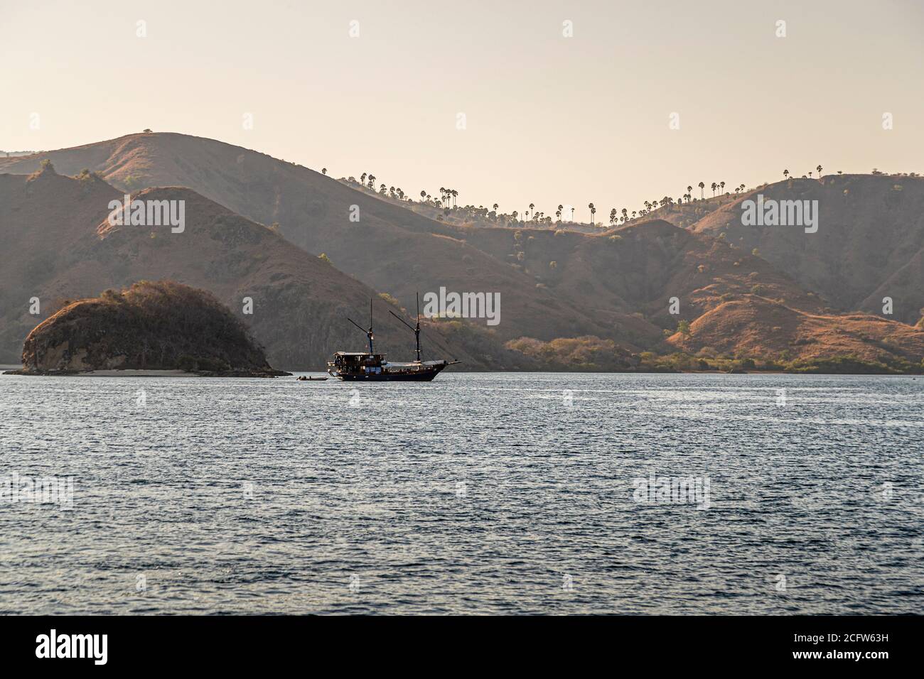 Immersioni subacquee a bordo delle Isole Sunda, Indonesia Foto Stock