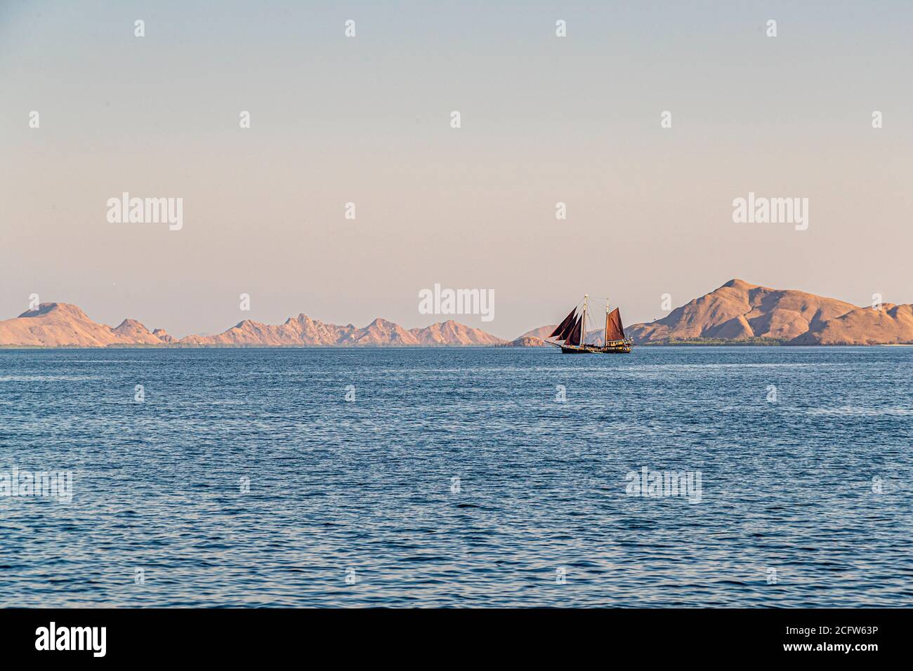 Immersioni subacquee a bordo delle Isole Sunda, Indonesia Foto Stock