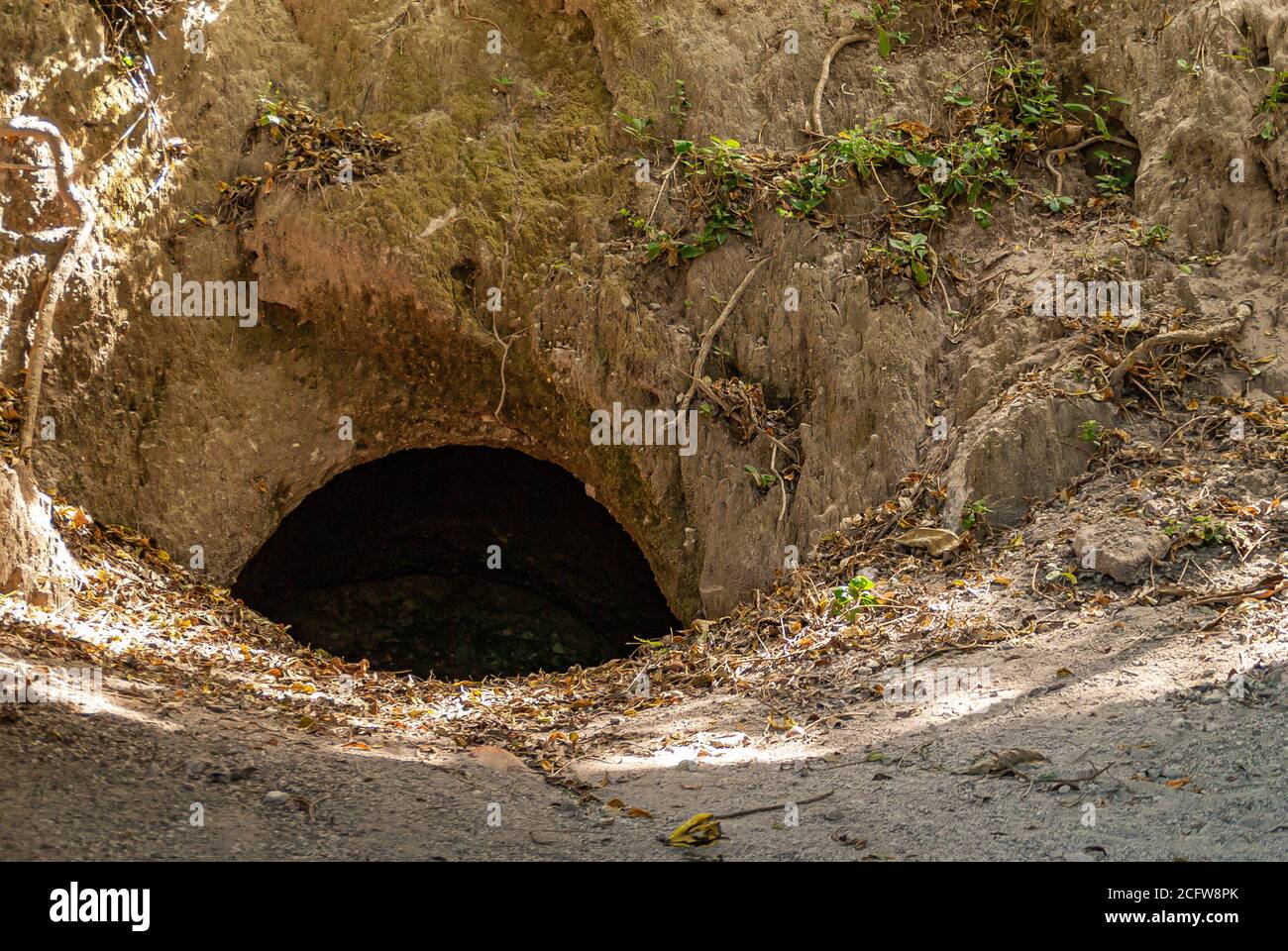 Leon, Nicaragua - 27 novembre 2008: Rovine della vecchia Leon. Foro d'ingresso alla caverna artificiale sotto lo sporco marrone con qualche fogliame verde. Foto Stock