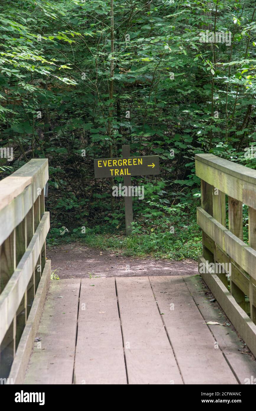 Cartello Evergreen Trail al Ricketts Glen state Park, Pennsylvania, USA Foto Stock