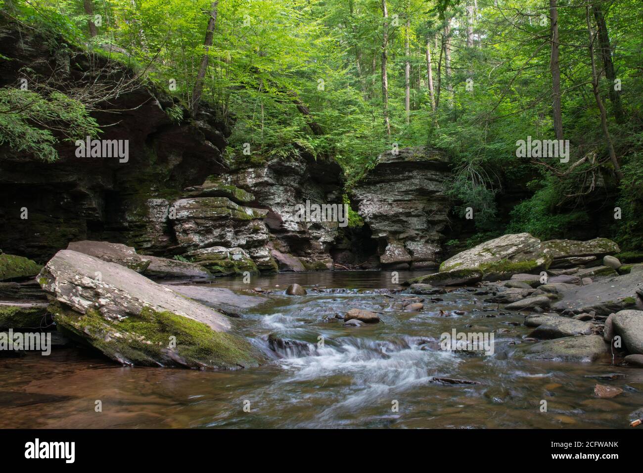 Kitchen Creek nel Ricketts Glen state Park, Pennsylvania, Stati Uniti Foto Stock