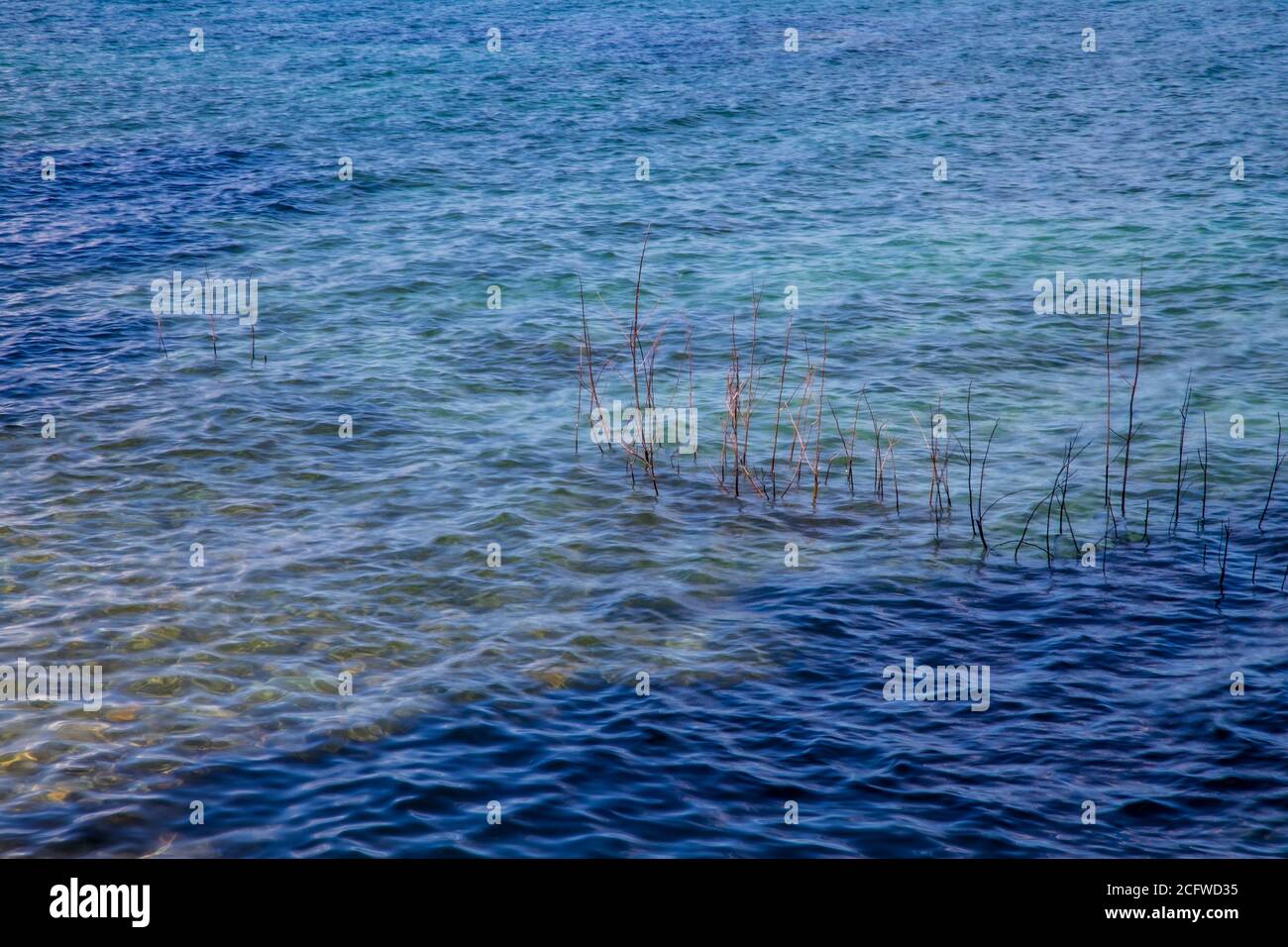 Lago Tahoe acqua al sole e ombra, splendida ombra di verde, teal, blu, basso a profondo, foglie senza aggiungere contrasto in piedi in acque poco profonde Foto Stock