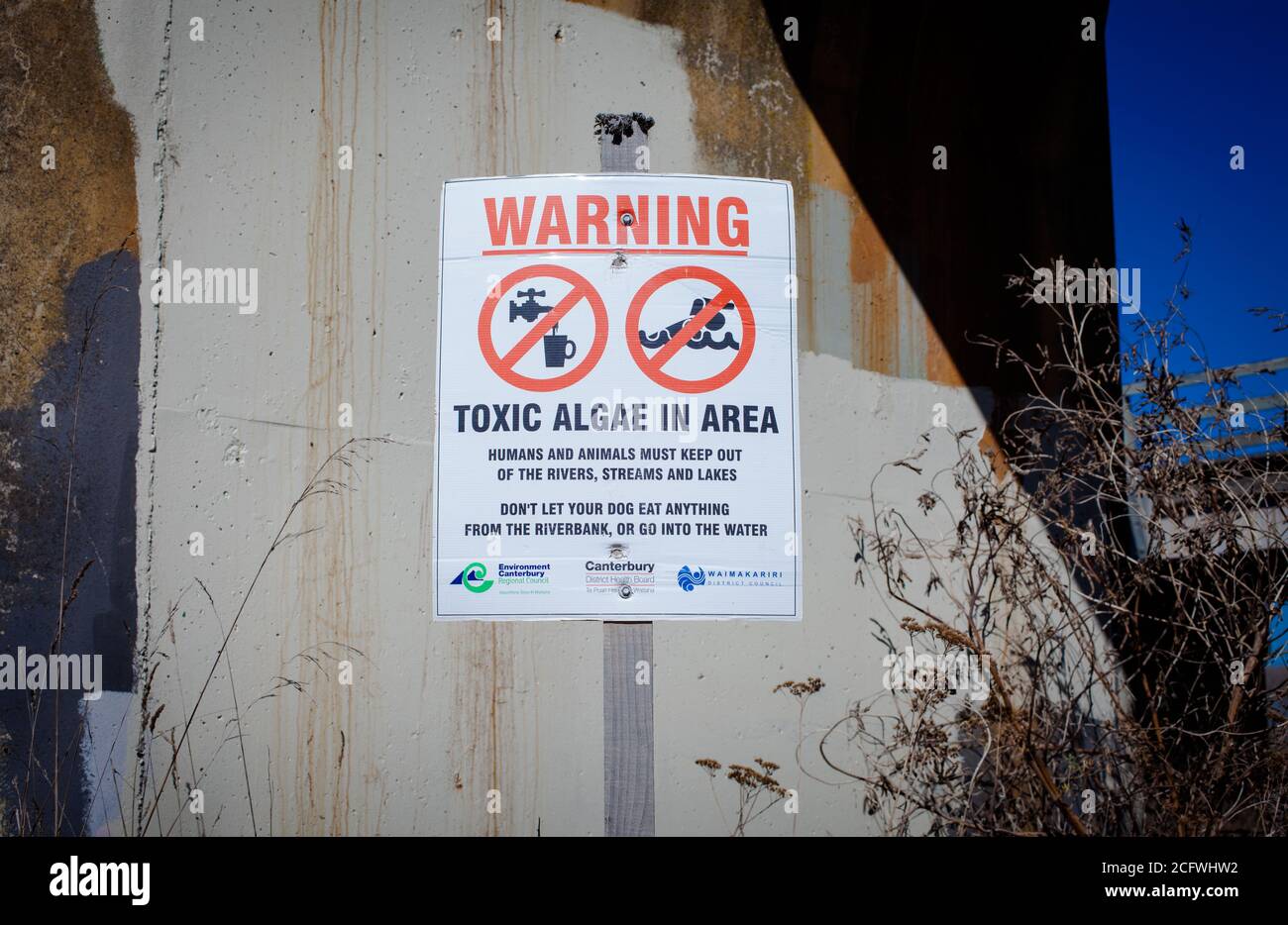New Zealand 2020: Inquinamento industriale: Scarico di effluenti industriali direttamente nel fiume Waimakariri, da un'industria di carne locale (Abattoir). Foto Stock