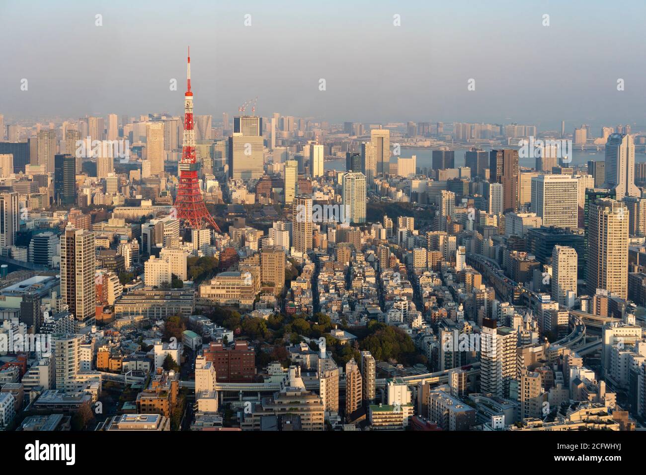 Vista della Torre di Tokyo e delle aree circostanti al tramonto Foto Stock