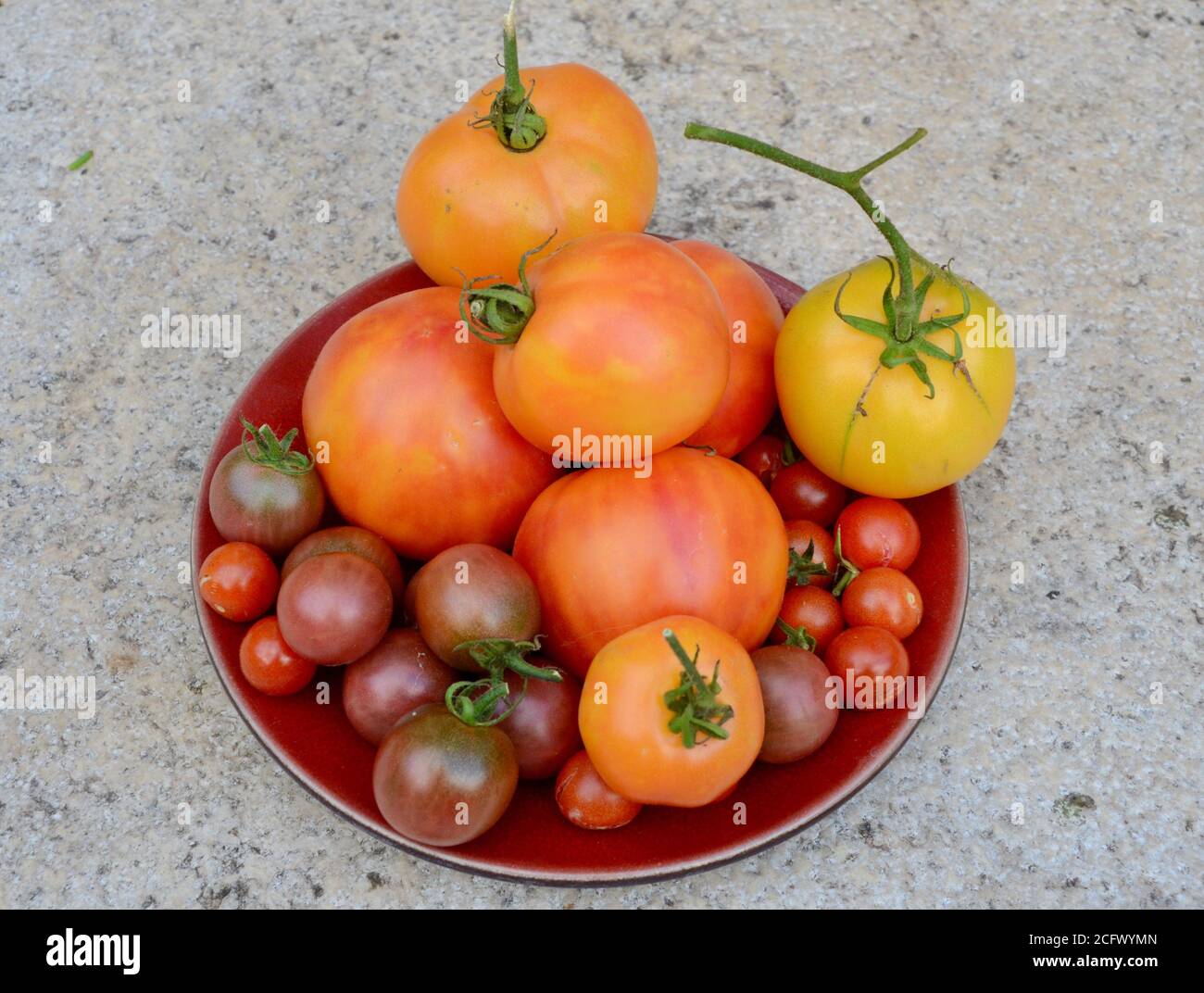 Pomodori domestici assortiti su un piatto londra UK Foto Stock