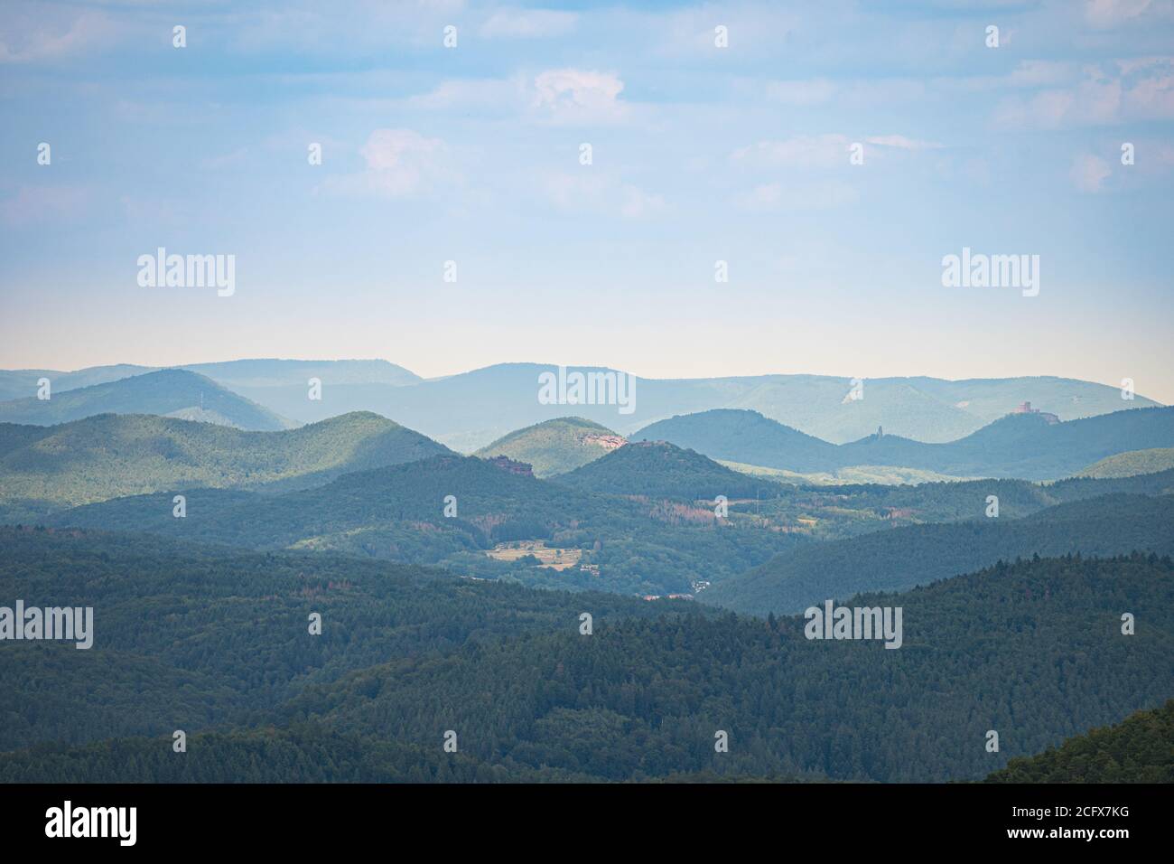 splendido paesaggio delle colline boscose di pfälzer wald, rheinland-pfalz, germania Foto Stock