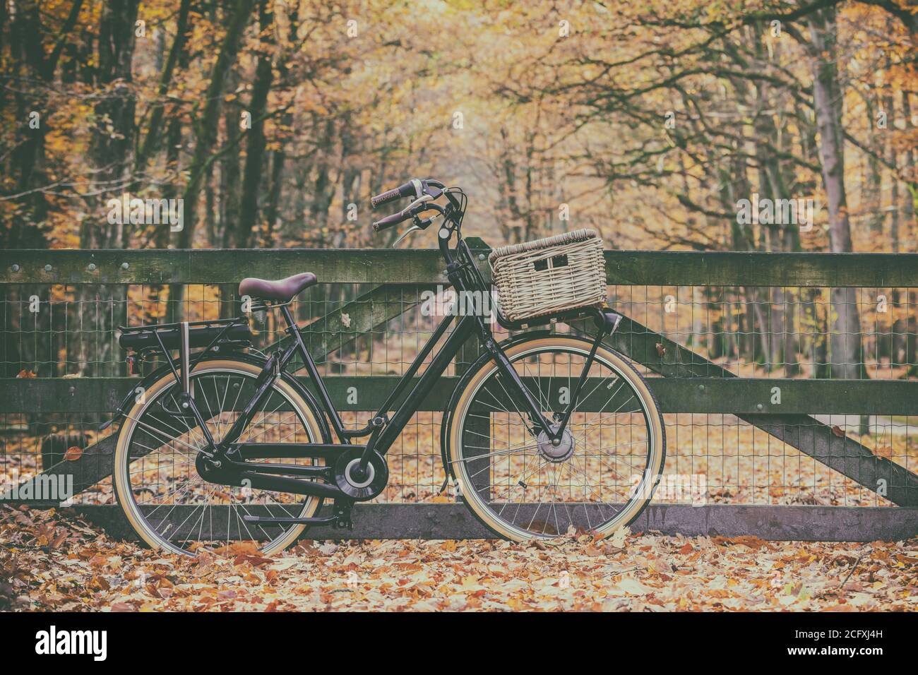 Immagine in stile retrò di una bicicletta elettrica da carico in autunno Sul Veluwe olandese Foto Stock