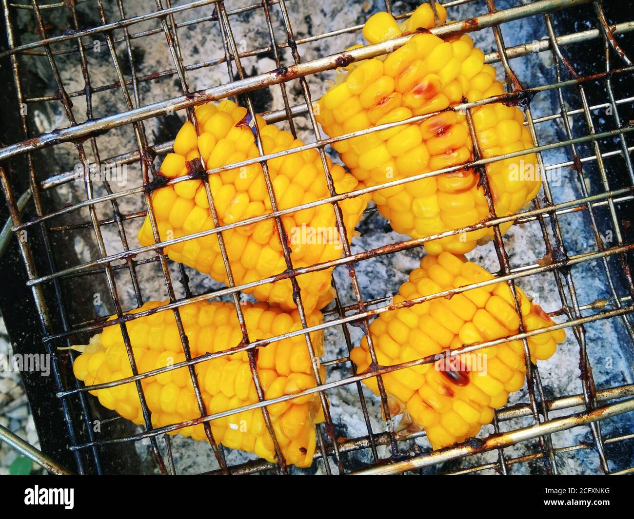 Mais dolce su calici caldi fritti in una griglia Foto Stock