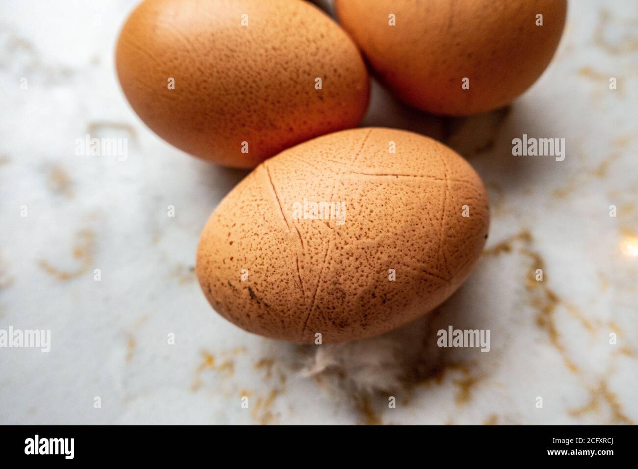 3 uova fresche di pollo deposte in fattoria Foto Stock