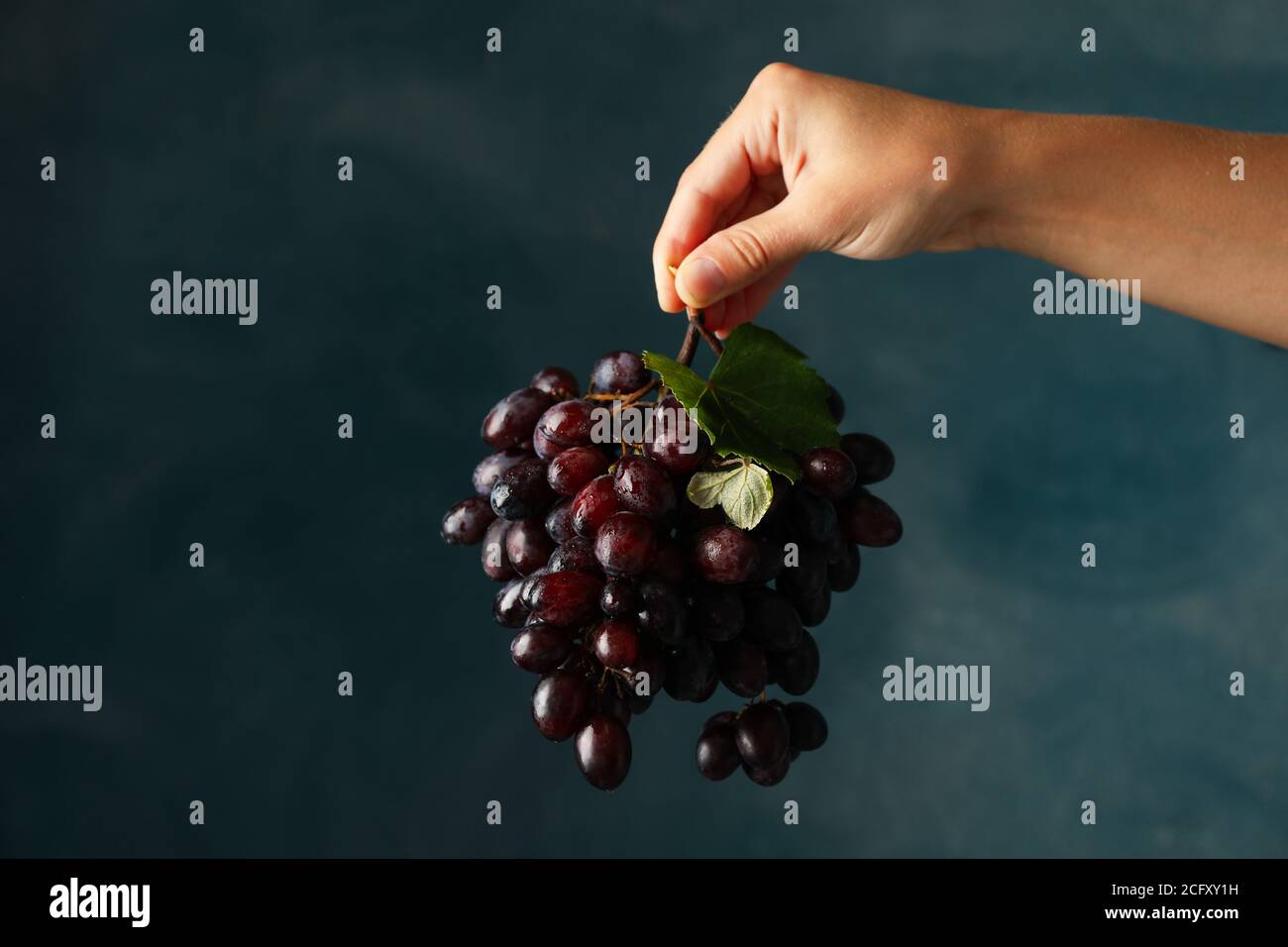 Femmina tiene l'uva matura mano su sfondo blu Foto Stock