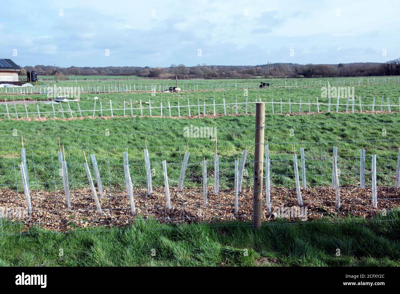 piccole aziende agricole Foto Stock