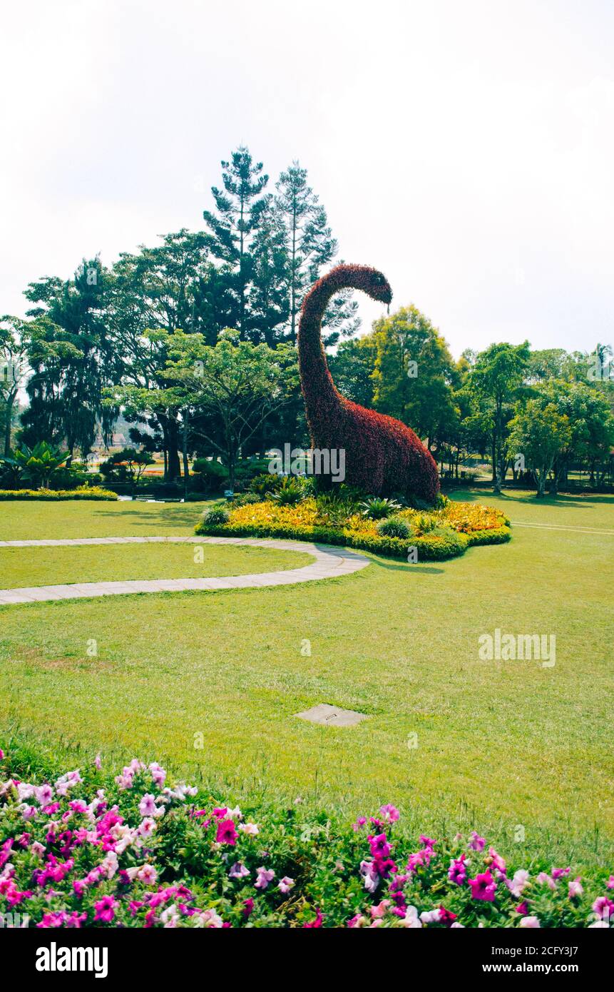 Bogor, Indonesia - una vista del parco a tema floreale Taman Bunga Nusantara in un pomeriggio nuvoloso con vista su un cespuglio a forma di dinosauro erbivoro. Foto Stock