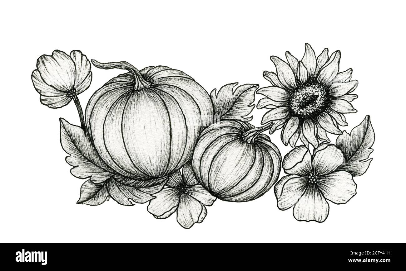 linea floreale autunno con zucche, girasole e foglie, inchiostro decorazione botanica autunnale disegnata a mano, vintage autunnale design per il ringraziamento Foto Stock