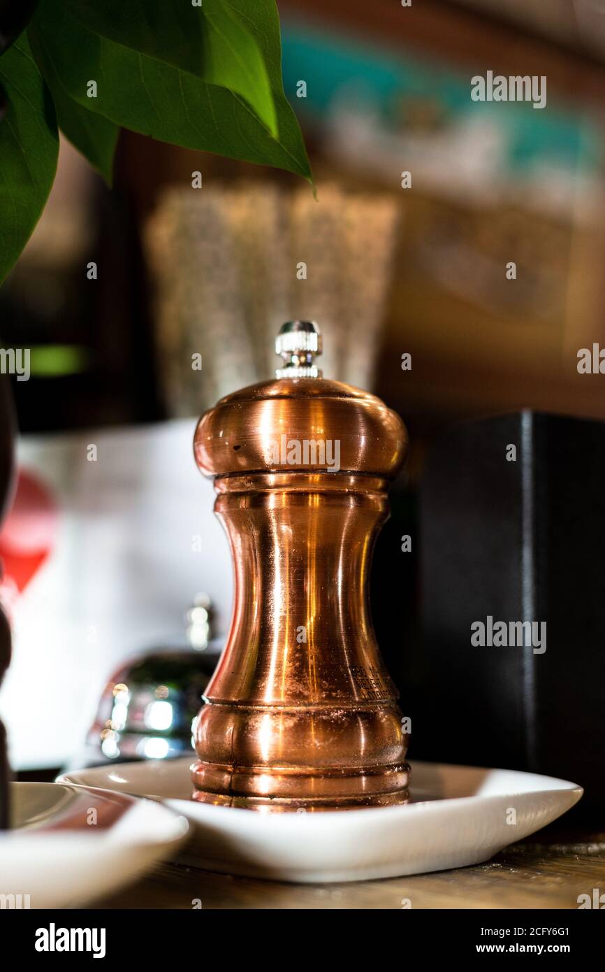 Shaker al pepe in metallo marrone. Agitatore con peperoni in bronzo. Foto Stock