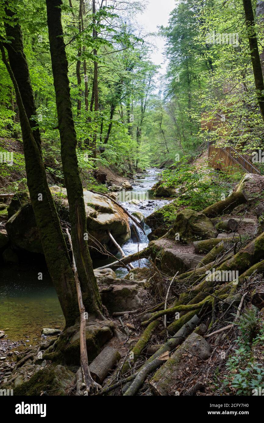 Europa, Lussemburgo, Grevenmacher, Mullerthal, fiume Ernz sopra la cascata di Schiessentumpel Foto Stock