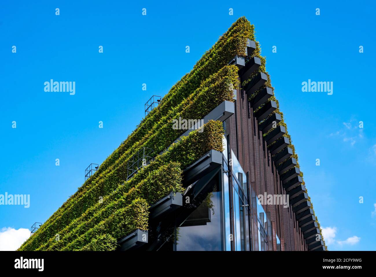 La façade verde più grande d'Europa, sulla Kö-Bogen II, edificio di edifici, negozi e uffici a Gustav-Gründgens-Platz, 8 chilometri di siepi di carpino erano Foto Stock