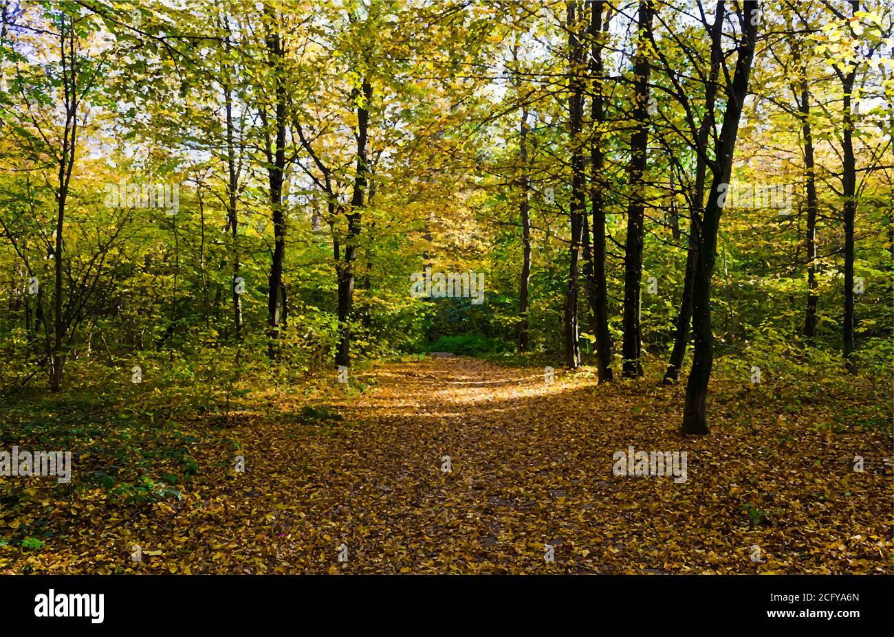 Autunno foresta in una giornata di sole. Autunno nel parco Illustrazione Vettoriale