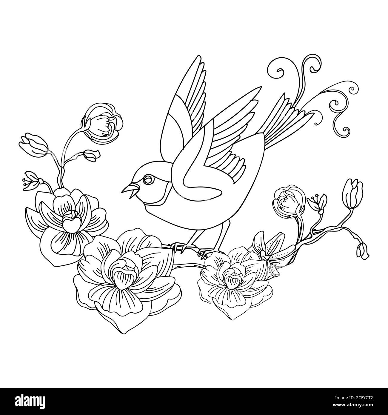 Contorno nero uccello e fiori. Illustrazione astratta della linea vettoriale isolata in bianco. Modello monocromatico disegnato a mano vettoriale per libro da colorare, wedd Illustrazione Vettoriale