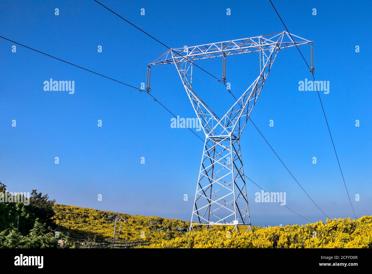 Le linee elettriche catturate contro il cielo blu e la gola fiorente gialla di maggio a Ticknock, contea di Dublino, Irlanda. Foto Stock