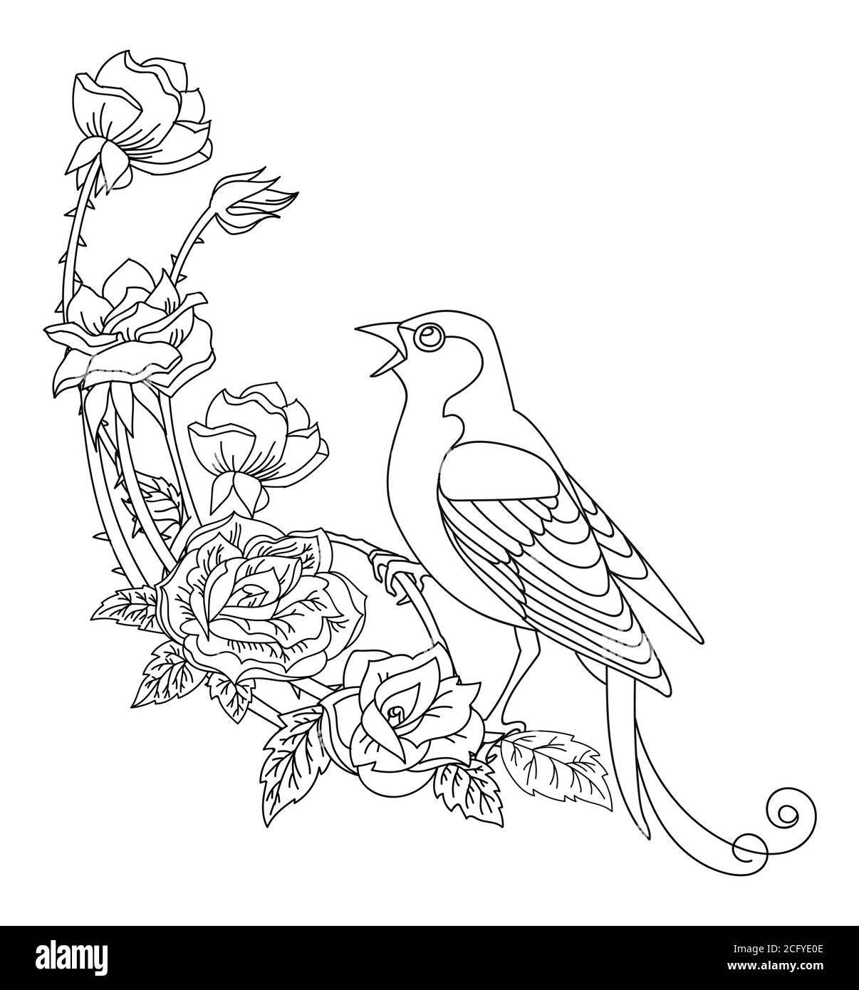 Contorno nero uccello e fiori. Immagine decorativa vettoriale a linea d'arte isolata su bianco. Modello monocromatico disegnato a mano vettoriale per colorare il libro, noi Illustrazione Vettoriale