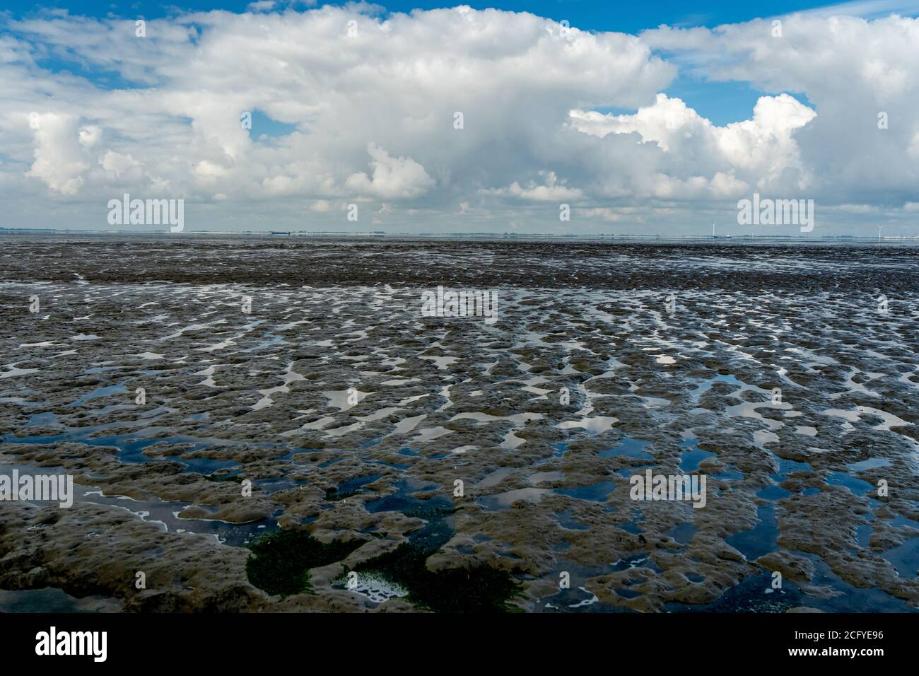 vista sul mare di wadden del mare del nord a bassa marea vicino emden, germania Foto Stock