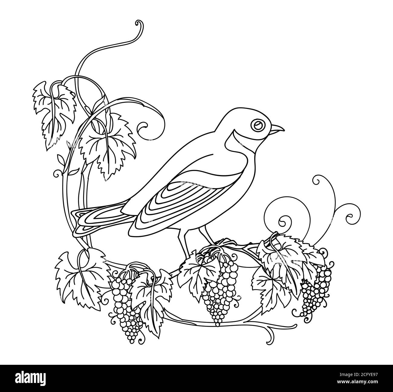 Contorno nero simpatico illustrazione uccello e uva. Immagine vettoriale a disegno lineare isolata in bianco. Immagine monocromatica disegnata a mano vettoriale per libro da colorare, Illustrazione Vettoriale