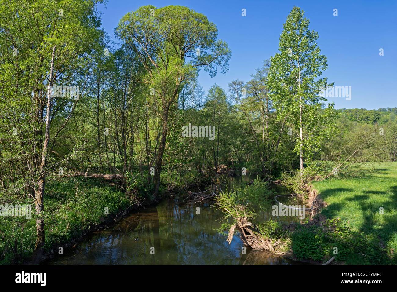 Europa, Lussemburgo, Colmar-Berg, fiume Attert Foto Stock