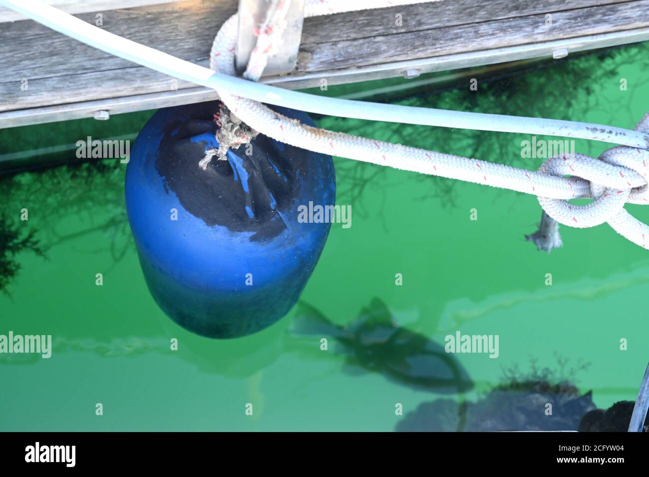 Parafango blu in un porticciolo per proteggere una barca a vela Foto Stock