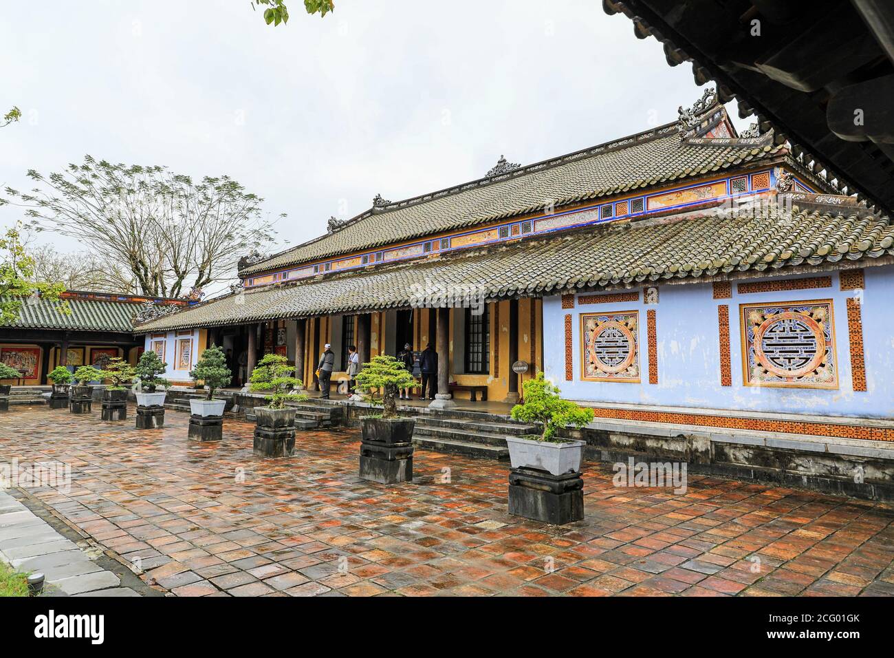 Bonsai alberi in pentole nella città imperiale, un recinto murato all'interno della cittadella della città di Huế, Vietnam, Sud-Est asiatico, Asia Foto Stock