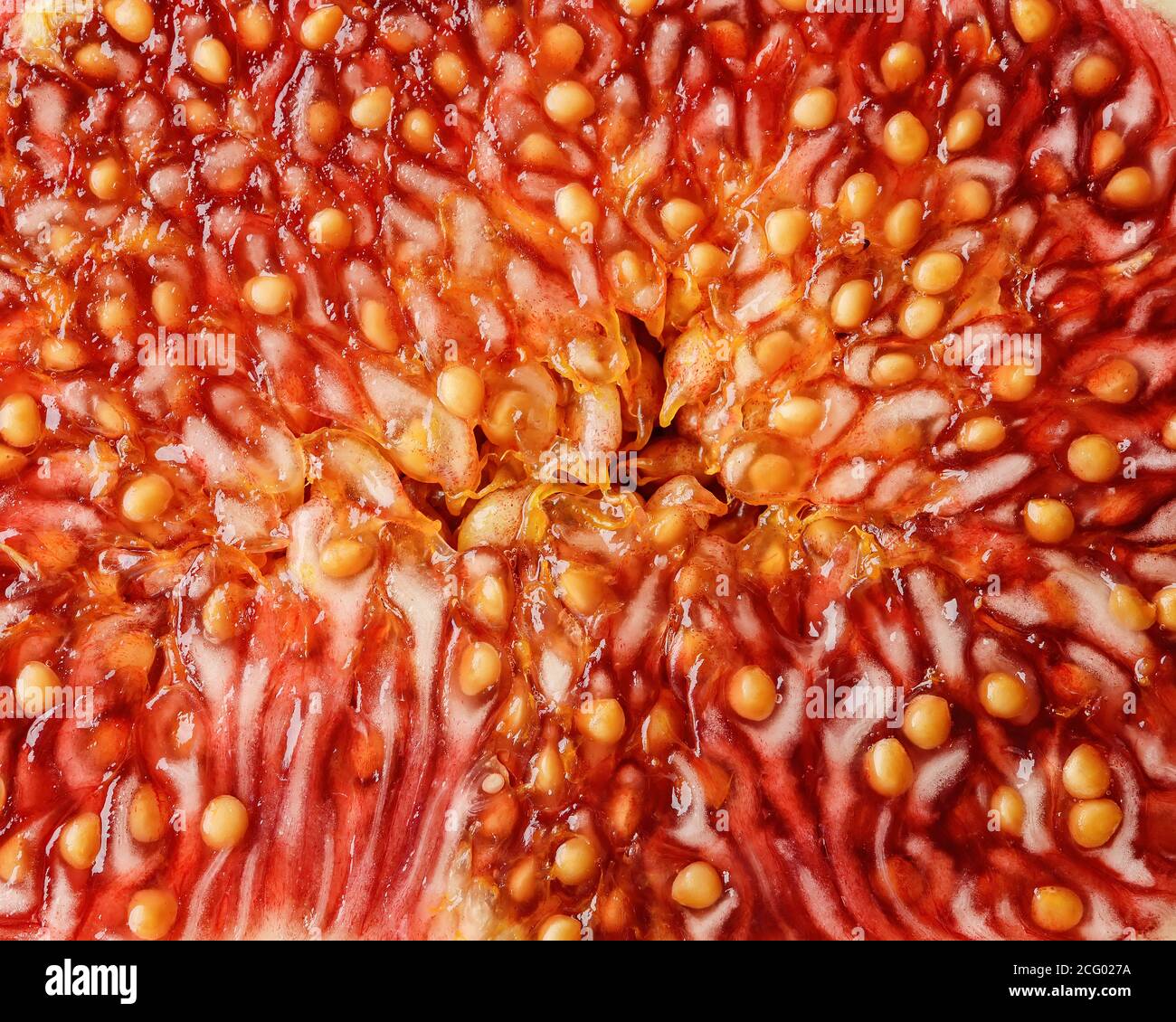 Macrofotografia fico maturo di consistenza della carne. Elemento di progettazione per un'alimentazione sana, vegetariana e ingredienti alimentari grezzi. Sfondo ad alta risoluzione. Foto Stock