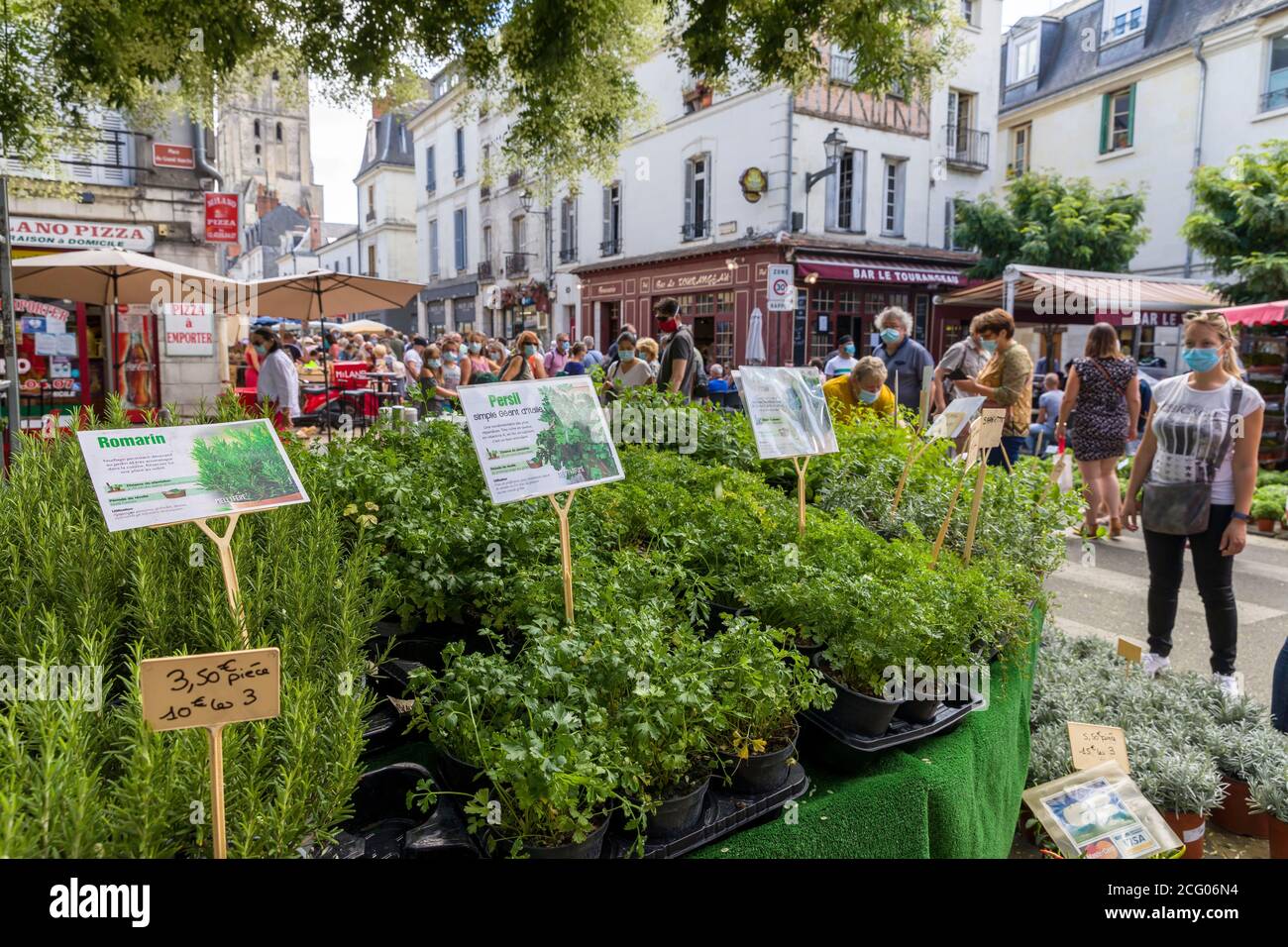 Francia, Indre et Loire, Valle della Loira dichiarata Patrimonio Mondiale dall'UNESCO, Tours, aglio e fiera del basilico, questa fiera è stata una tradizione dal Medio Foto Stock