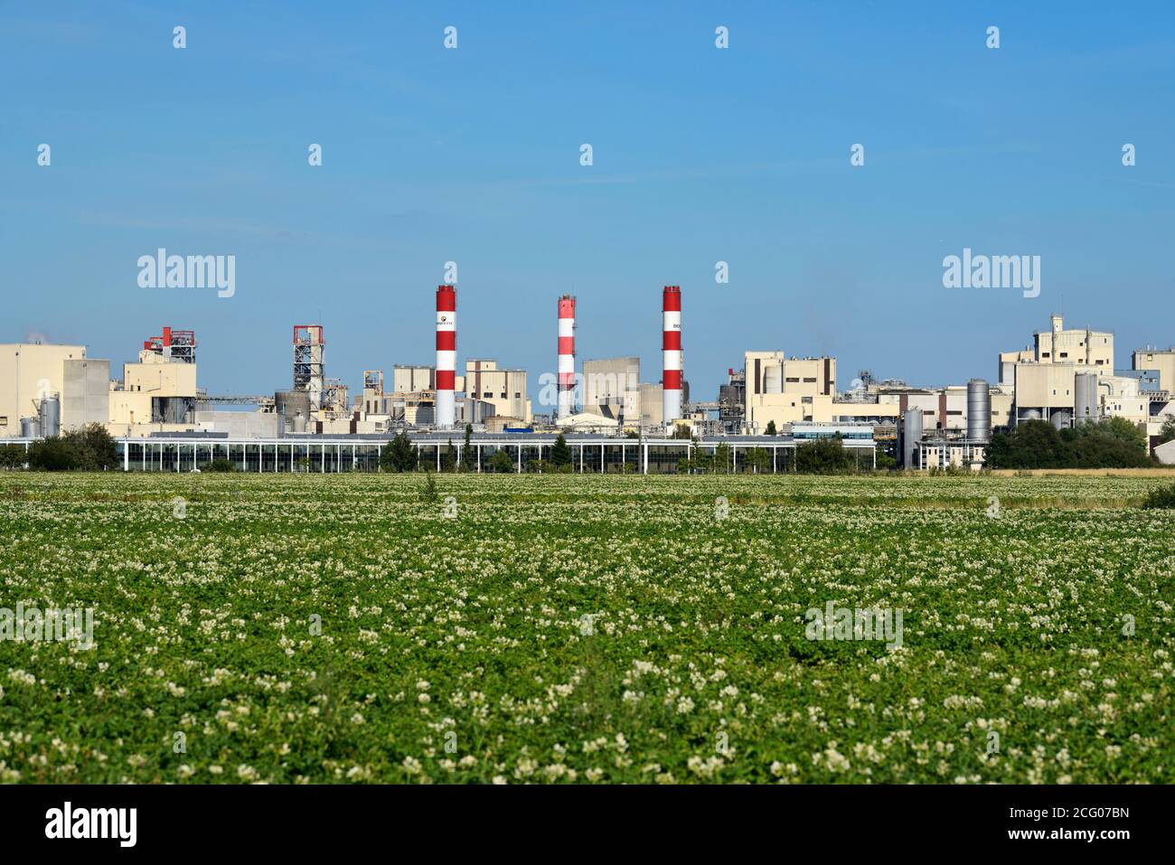 Francia, Pas de Calais, Lestrem, Grand Place, fabbrica roquette fr?res Foto Stock