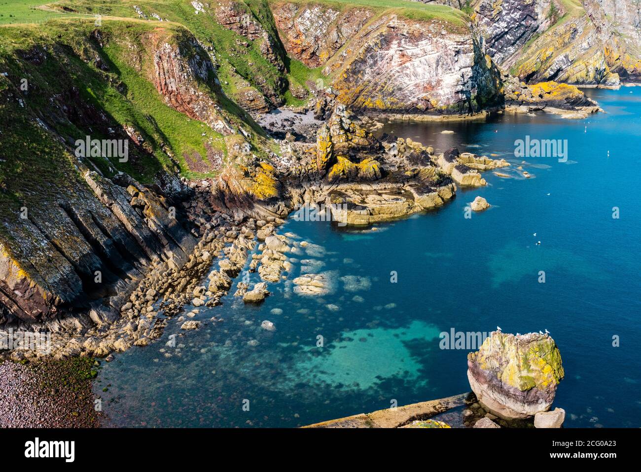 Sentiero costiero di St Abbs, Scozia Foto Stock