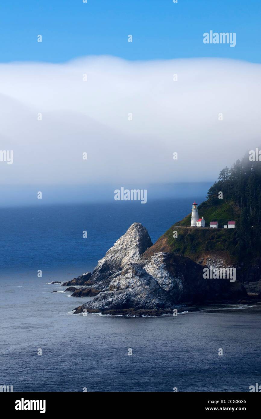 Vista sul faro di Heceta Head, sulle grotte dei leoni marini, Oregon Foto Stock