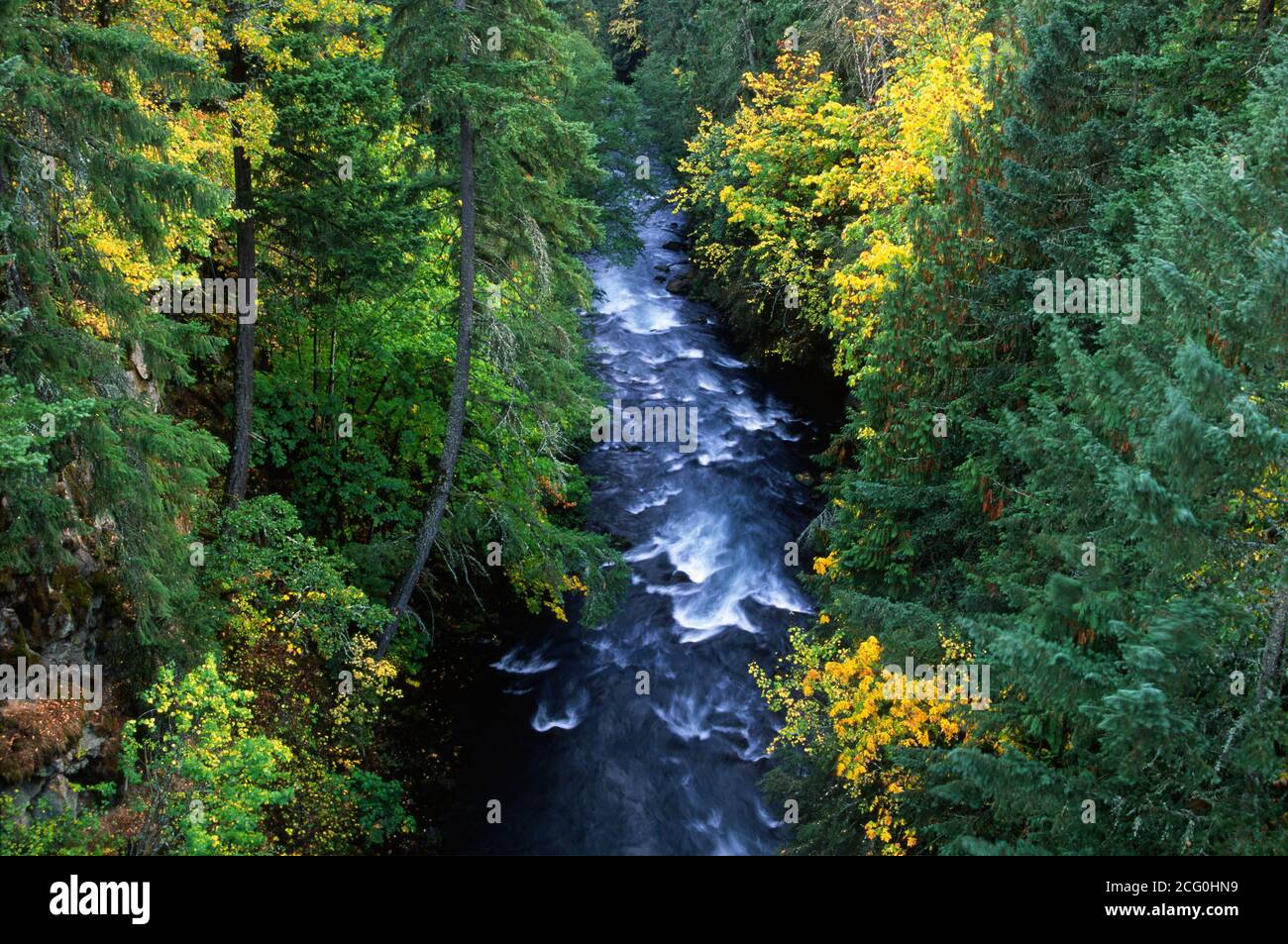 White Salmon Wild e Scenic River, Klickitat County, Washington Foto Stock