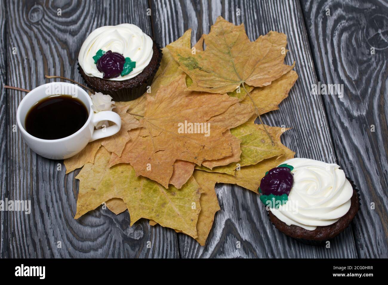 Muffin al cioccolato con fiore alla crema. Una tazza di caffè nero. Tra le foglie di acero essiccate. Si trova su tavole di pino dipinte in bianco e nero. Foto Stock