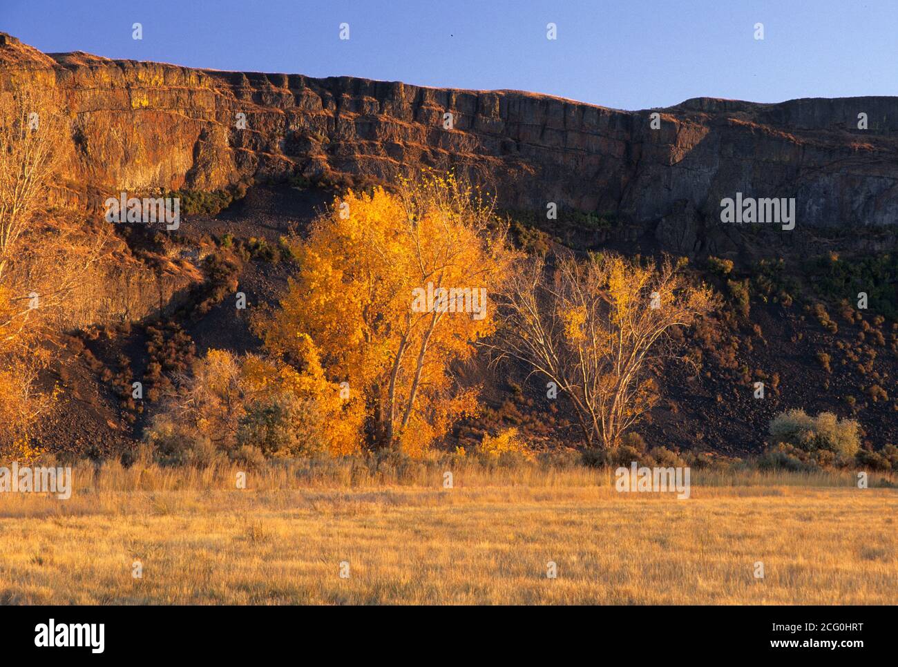 Upper Grand Coulee Cliffs, Steamboat Rock state Park, Washington Foto Stock