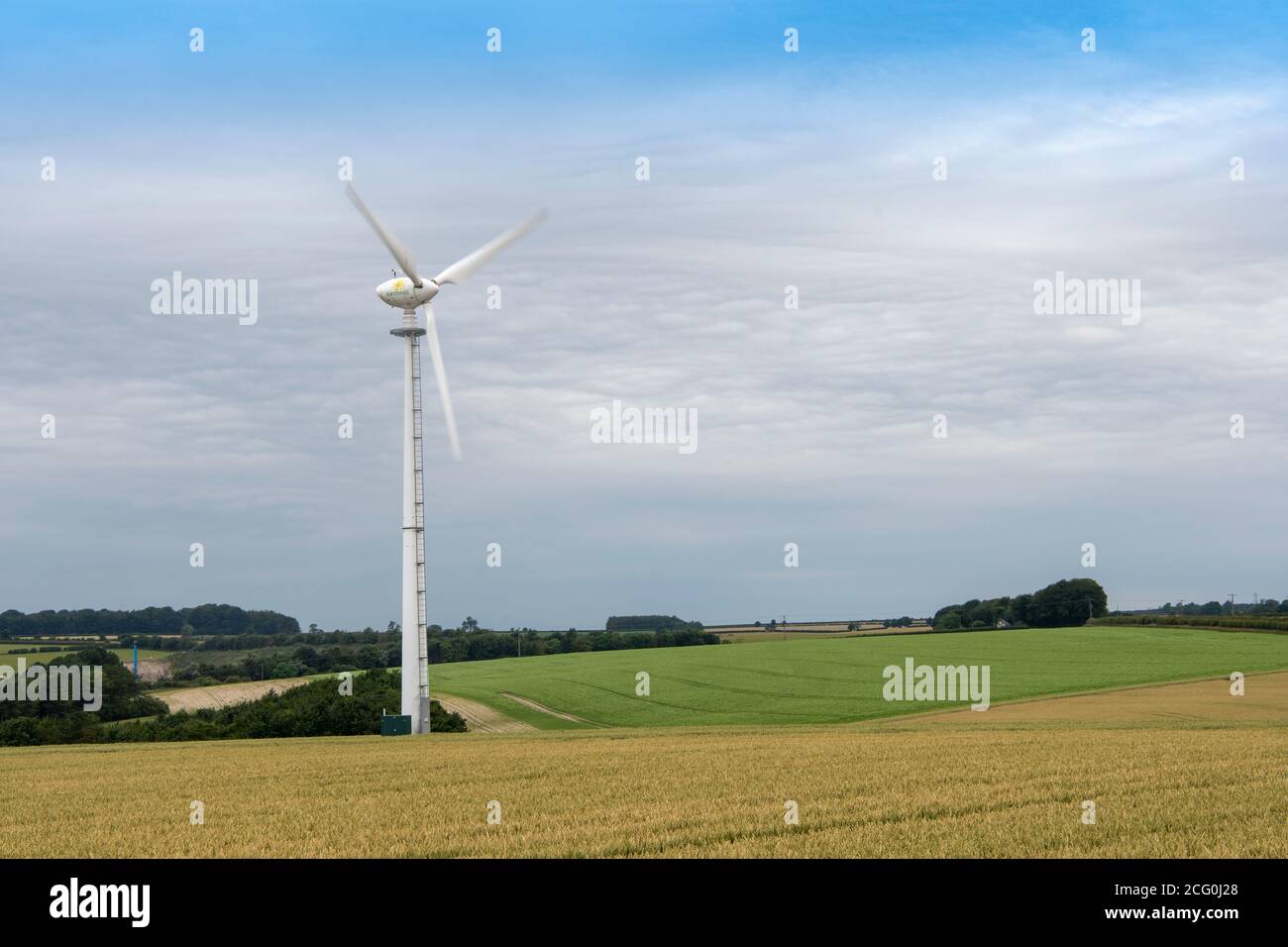 Campo di maturazione del grano con una turbina eolica tra il raccolto. North Yorkshire, Regno Unito. Foto Stock