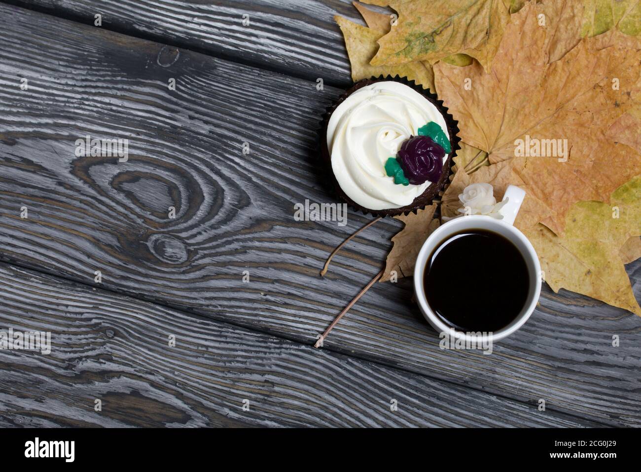Muffin al cioccolato con fiore alla crema. Una tazza di caffè nero. Tra le foglie di acero essiccate. Giacciono su tavole di pino dipinte in bianco e nero. Foto Stock