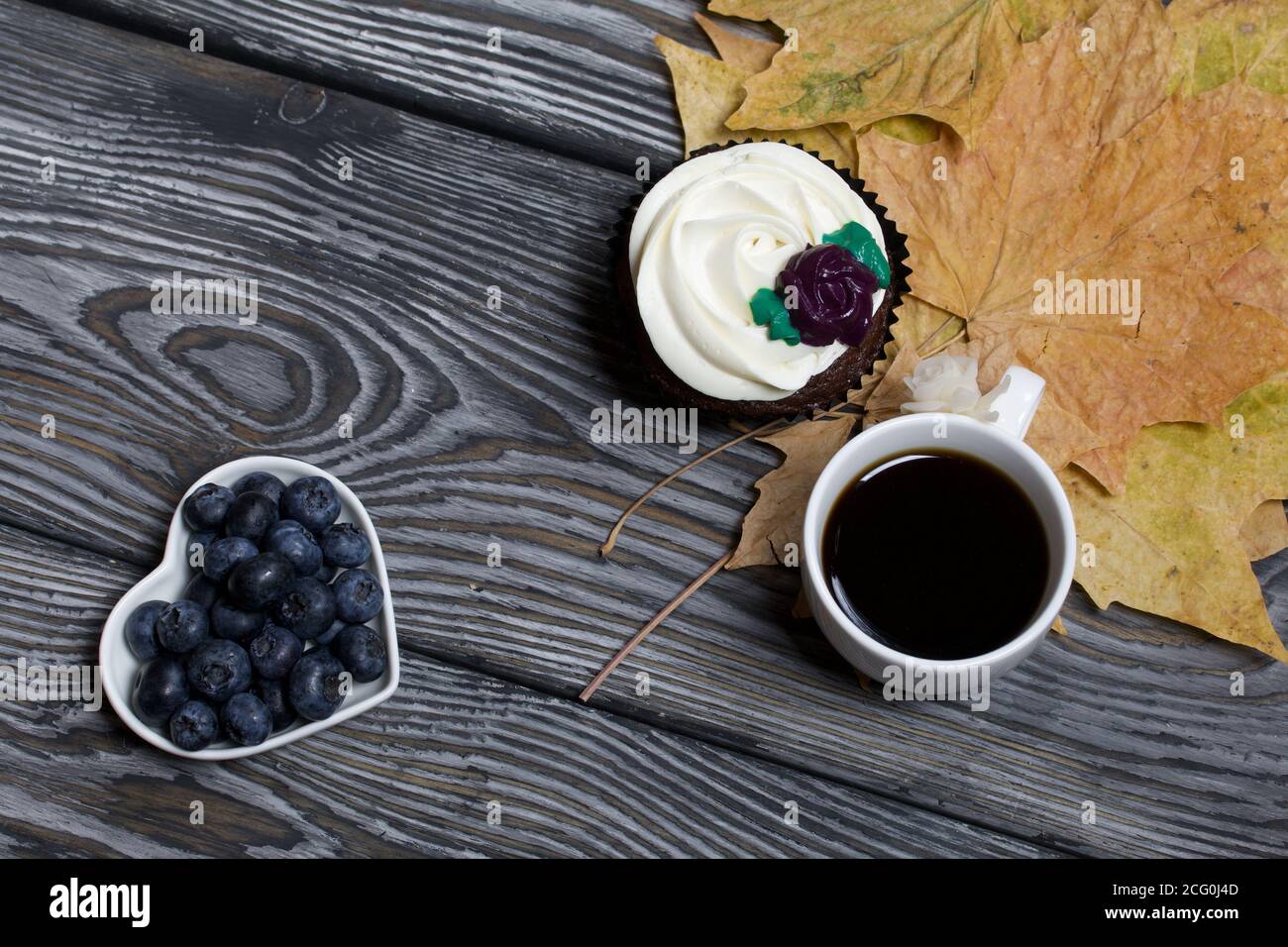 Muffin al cioccolato con fiore alla crema. Una tazza di caffè nero. Piatto con mirtilli. Tra le foglie di acero essiccate. Giace su tavole di pino verniciato nero A. Foto Stock