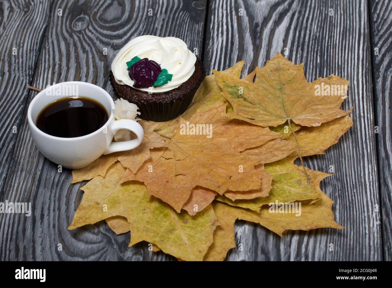 Muffin al cioccolato con fiore alla crema. Una tazza di caffè nero. Tra le foglie di acero essiccate. Giacciono su tavole di pino dipinte in bianco e nero. Foto Stock