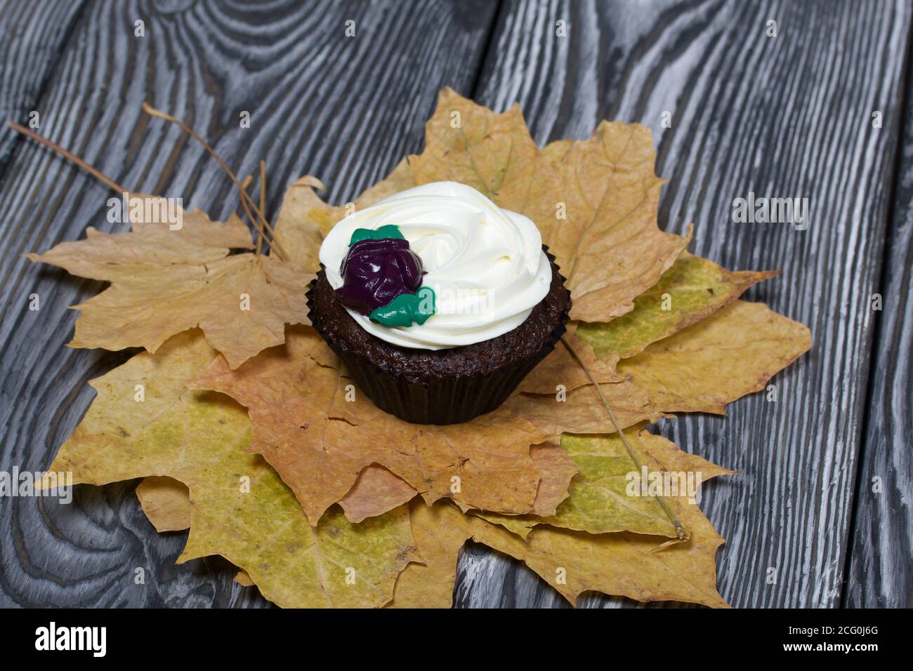 Muffin al cioccolato con fiore alla crema. Tra le foglie di acero essiccate. Si trova su tavole di pino dipinte in bianco e nero. Foto Stock
