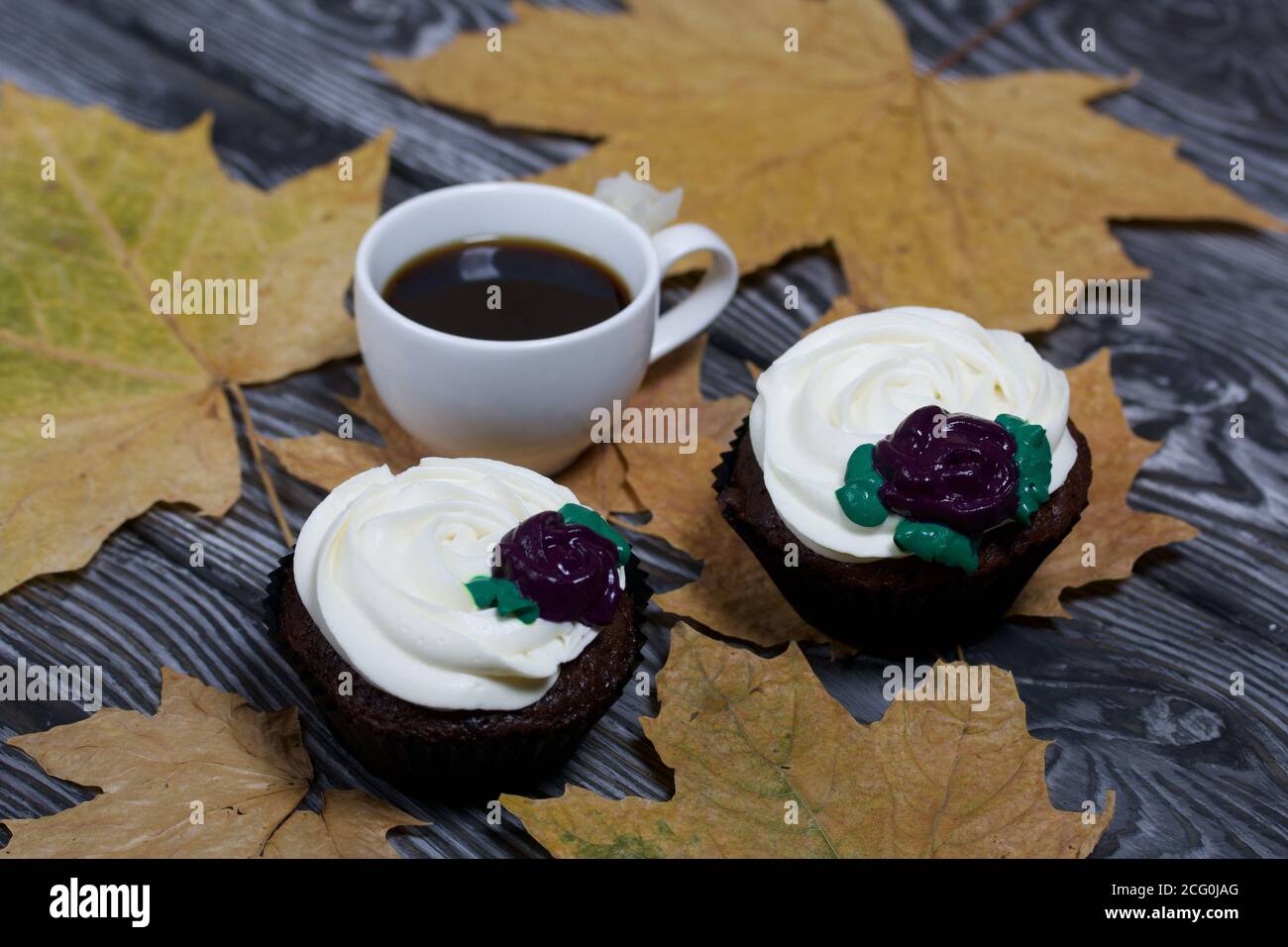 Muffin al cioccolato con fiore alla crema. Una tazza di caffè nero. Tra le foglie di acero essiccate. Si trova su tavole di pino dipinte in bianco e nero. Foto Stock